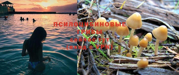 тгк Аркадак