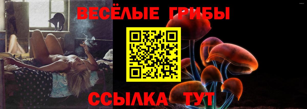 Галлюциногенные грибы Psilocybe Бахчисарай